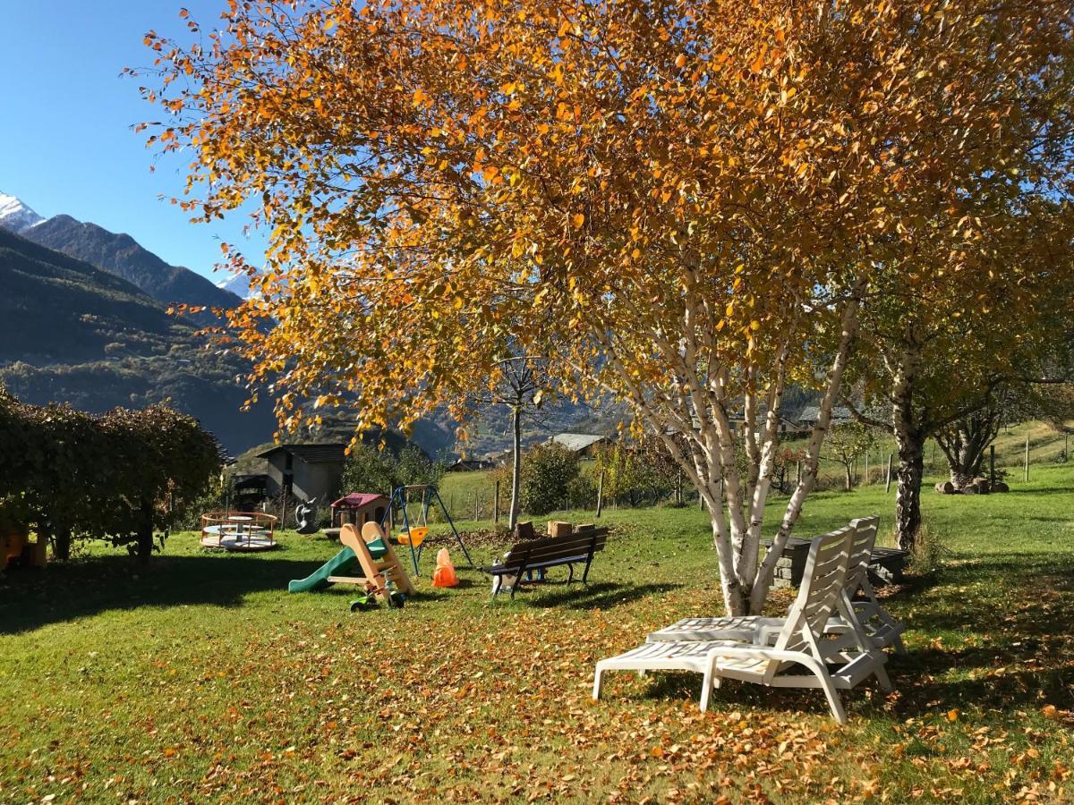 Affittacamere Verger Plein Soleil Saint-Pierre Eksteriør billede