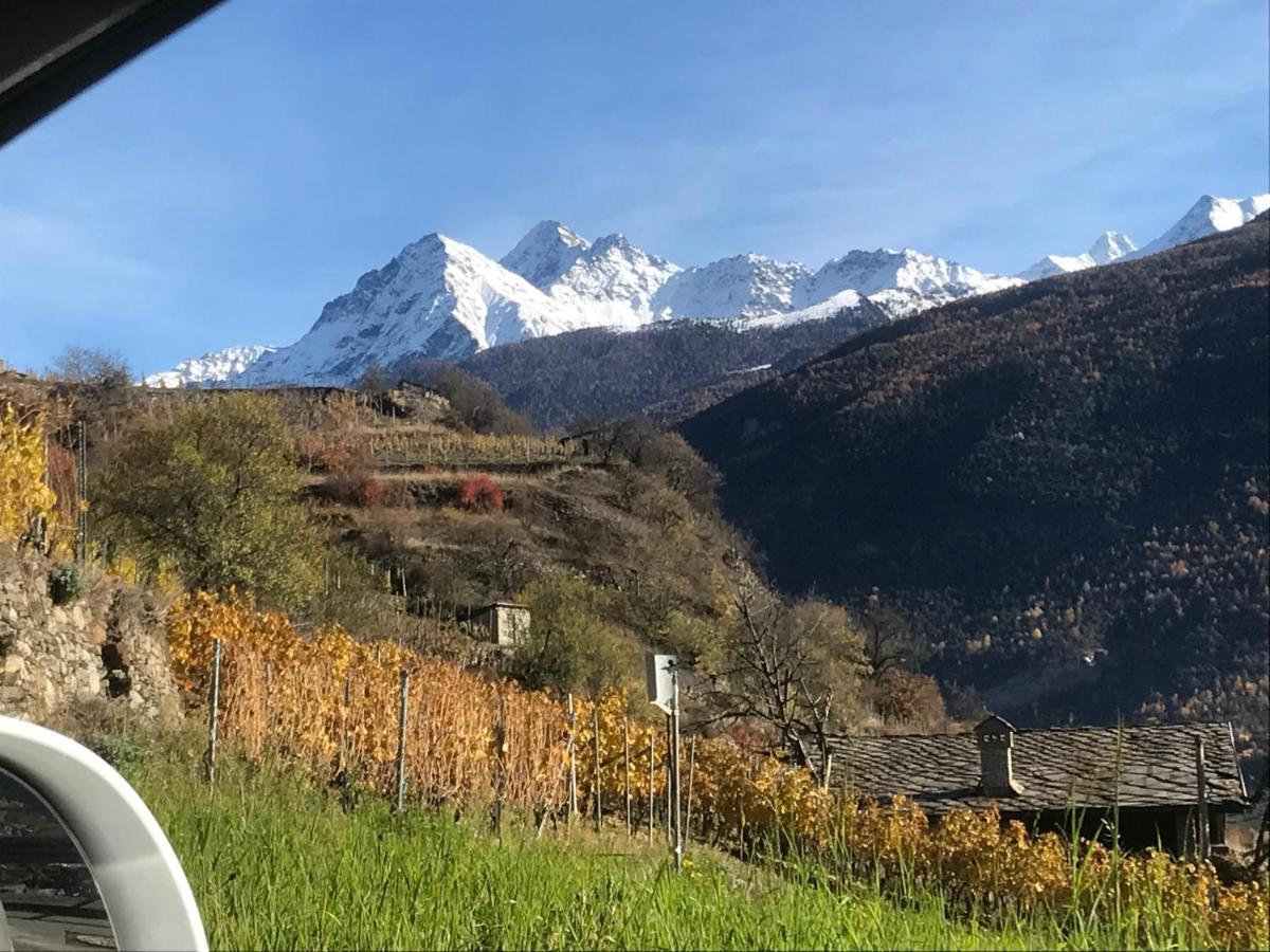 Affittacamere Verger Plein Soleil Saint-Pierre Eksteriør billede
